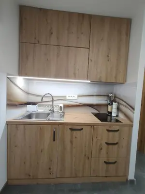 a kitchen with wooden cabinets and a sink at Hiška 4005 - Terme Čatež in Brežice