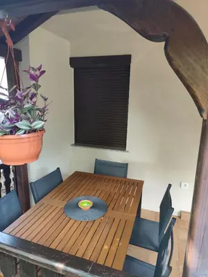 a dining room table with chairs and a plant at Hiška 4005 - Terme Čatež in Brežice