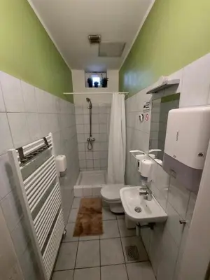 a bathroom with a toilet and a sink at Bella Veselova in Ljubljana