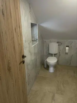 a bathroom with a toilet and a wooden door at Apartma Lavanda in Zavrč
