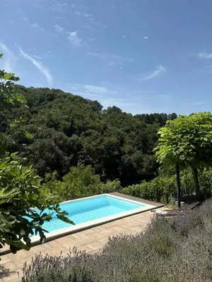 a swimming pool in the middle of a forest at Apartma Lavanda in Zavrč