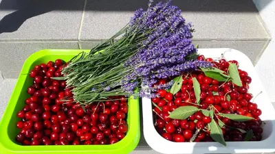 two containers of cherries and a bunch of purple flowers at Apartma Lavanda in Zavrč
