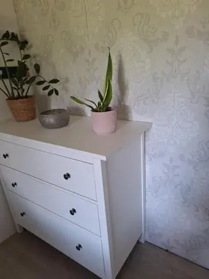 a white dresser with two potted plants on it at Hiška na skalci, The House on the Rock in Krka