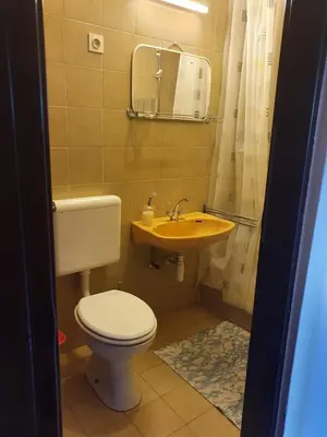 a bathroom with a toilet and a sink and a mirror at Apartmaji Julijana Podlipnik in Bohinj