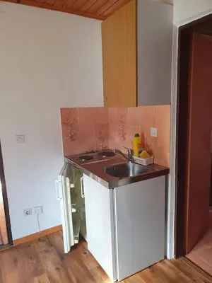 a kitchen with a sink and a counter top at Apartmaji Julijana Podlipnik in Bohinj
