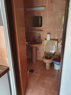 a small bathroom with a toilet and a sink at Apartmaji Julijana Podlipnik in Bohinj