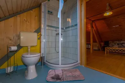 a bathroom with a toilet and a shower in a room at Brunarica Bled Zatrnik Pokljuka in Bled