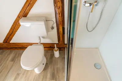 a bathroom with a toilet and a shower at Sobe na skednju in Bohinjska Bistrica