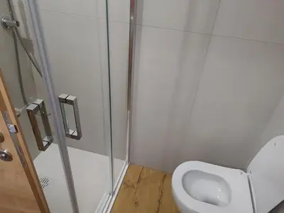a small bathroom with a toilet and a shower at Domačija Blaževc in Žiri