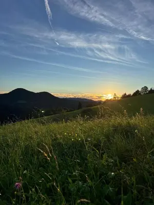 a field of grass with the sunset in the background at Domačija Blaževc in Žiri