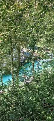 a river in the middle of a forest with trees at Apartma PR ČEHC in Tolmin