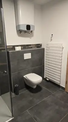 a bathroom with a toilet and a shower at Apartma Alja 4 Kranjska Gora in Kranjska Gora
