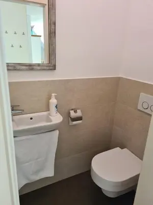 a bathroom with a sink and a toilet and a mirror at Apartments Katja in Kranjska Gora