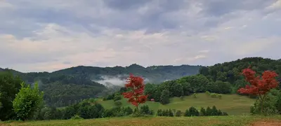 a red tree on a green field with mountains at Apartmaji Božiček in Podčetrtek