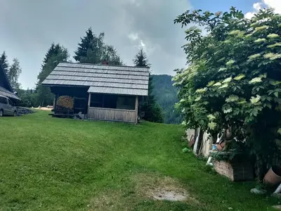a small house in a field with a yard at Vacation cottage house Enya in Koprivnik v Bohinju