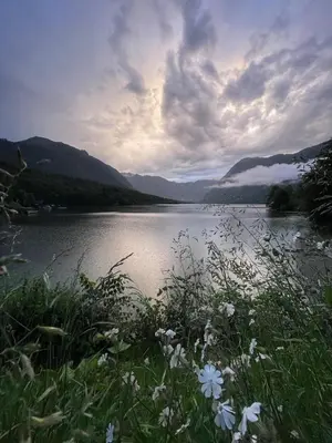 a view of a lake with flowers in the foreground at Vacation cottage house Enya in Koprivnik v Bohinju