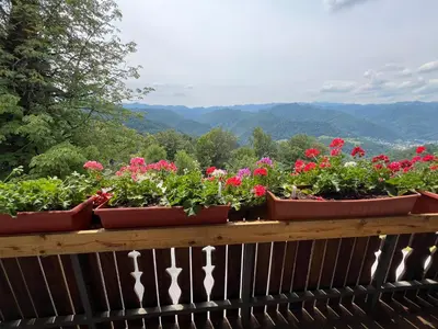 three potted plants on a fence with mountains in the background at Apartma Mohorič in Idrija