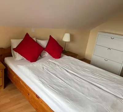 a bedroom with a bed with two red pillows at Apartma Mohorič in Idrija