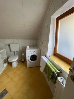 a small bathroom with a washing machine in it at Apartma Mohorič in Idrija
