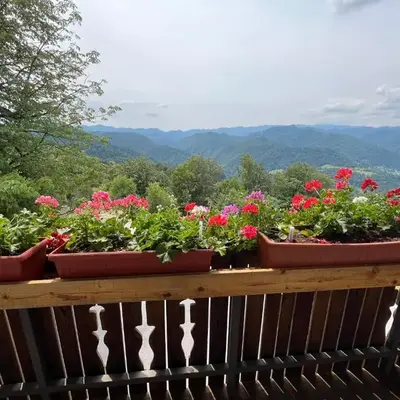 Apartma Mohorič