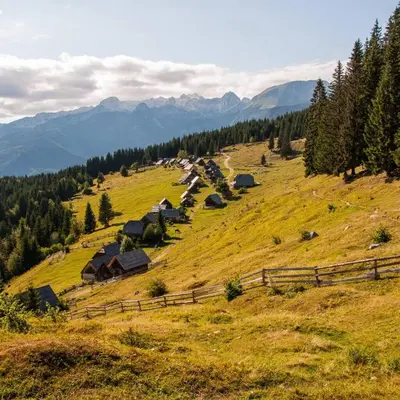 a grassy hill with a bunch of houses on it at Apartma Rebeka in Zgornje Gorje
