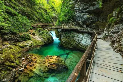 a bridge over a river in a canyon at Apartma Rebeka in Zgornje Gorje