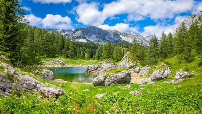 a lake in the mountains with rocks and trees at Pinus Alpinus Apartments in Bovec