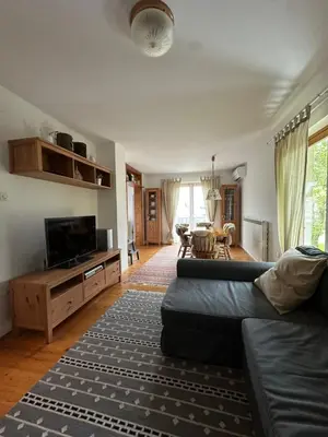a living room with a couch and a tv at Pinus Alpinus Apartments in Bovec