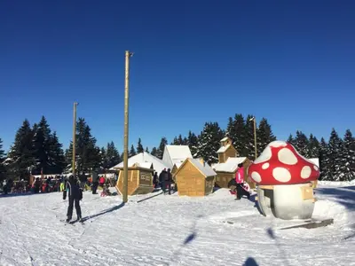 a group of people on skis in the snow at Gostisce Ulipi in Slovenske Konjice