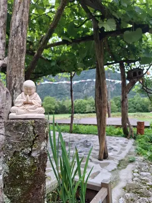 a buddha statue sitting on top of a tree at Kamer Luna in Log Čezsoški