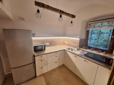 a kitchen with a refrigerator and a sink at Vila Anton in Dobrna