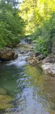 a stream of water with rocks and trees at Vila Anton in Dobrna