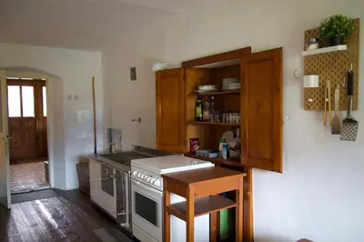 a kitchen with wooden cabinets and a stove top oven at Vintage Lake House Bohinj in Bohinj