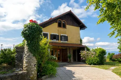 a yellow house with a red flower on top of it at Vineyard cottage Rustika in Novo Mesto