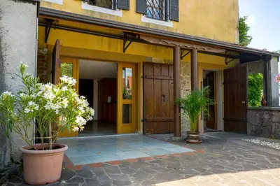 an entrance to a house with plants in pots at Vineyard cottage Rustika in Novo Mesto
