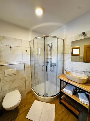 a bathroom with a shower and a toilet and a sink at Stara Žaga in Bled