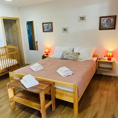 Stara Žaga