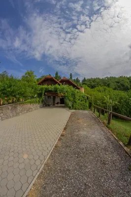a driveway leading to a building with a pavilion at Zidanica Krošelj in Raka
