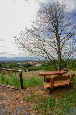 a picnic table and bench next to a tree at Zidanica Krošelj in Raka