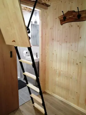 a ladder in a tiny house at Hiša pod Rogatcem - studio in Luče