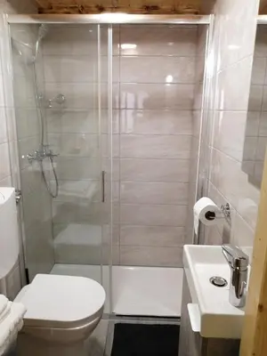 a bathroom with a shower with a toilet and a sink at Hiša pod Rogatcem - studio in Luče
