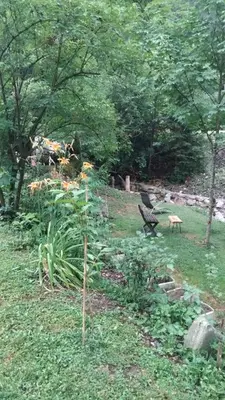 a garden with a bench in the grass at Hiša pod Rogatcem - studio in Luče