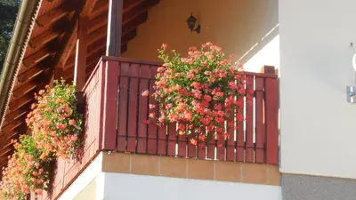 two hanging baskets of flowers on a balcony at Apartments Savinja in Luče