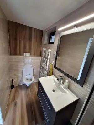 a bathroom with a white sink and a toilet at En hribček in Ptujska Gora