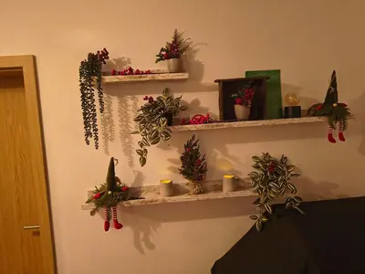 a room with shelves with christmas plants and candles at Hiška Maša in Čatež ob Savi