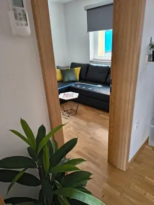 a living room with a black couch and a plant at Hiška Maša in Čatež ob Savi