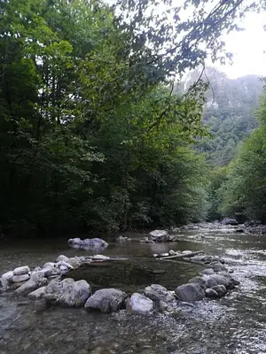 a river with rocks in the water and trees at Chalet Iskaretreat in Ig