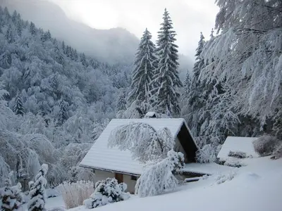 a cabin covered in snow in a snowy forest at Chalet Iskaretreat in Ig
