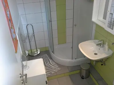 a small bathroom with a shower and a sink at Apartment Zadraga in Tolmin