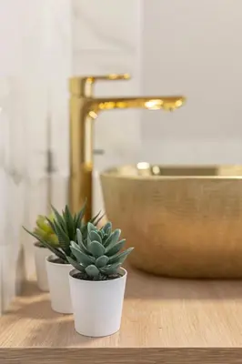 three potted plants sitting on top of a counter at Yellow and Green apartments in Ljubljana